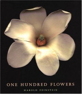 One Hundred Flowers