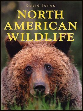North American Wildlife