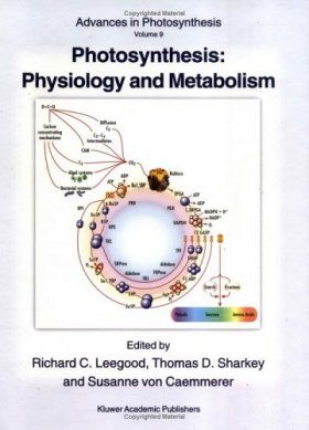 Photosynthesis: Physiology and Metabolism