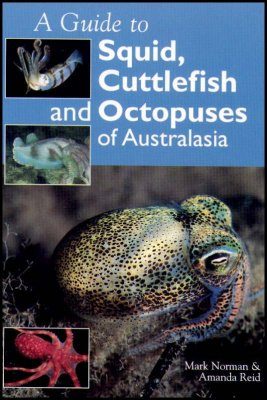 A Guide to Squid, Cuttlefish and Octopuses of Australasia