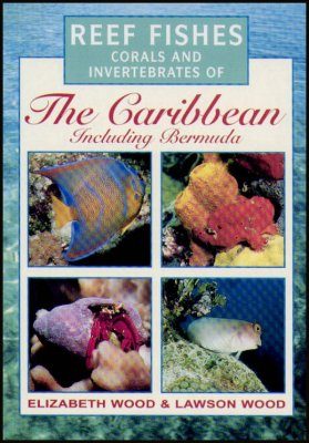 Reef Fishes, Corals and Invertebrates of the Caribbean Including Bermuda