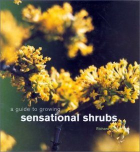A Guide to Growing Sensational Shrubs