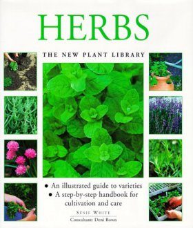 Herbs