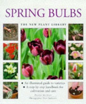 Spring Bulbs