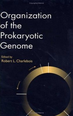 Organization of the Prokaryotic Genome