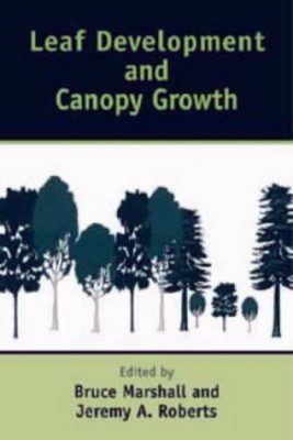 Leaf Development and Canopy Growth