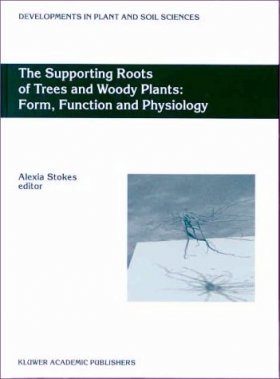 The Supporting Roots of Trees and Woody Plants