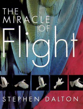 The Miracle of Flight