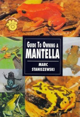 Guide to Owning a Mantella