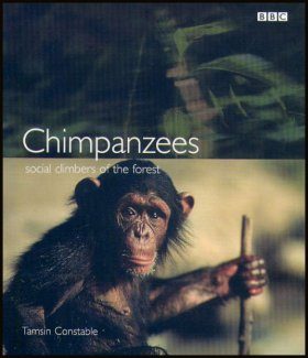 Chimpanzees: Social Climbers of the Forest