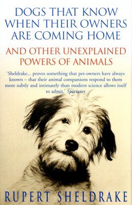 Dogs that Know When their Owners are Coming Home - and Other Unexplained Powers of Animals