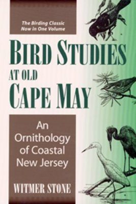 Bird Studies at Old Cape May