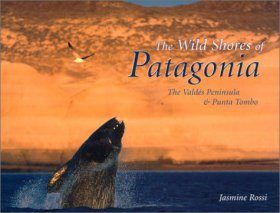 The Wild Shores of Patagonia
