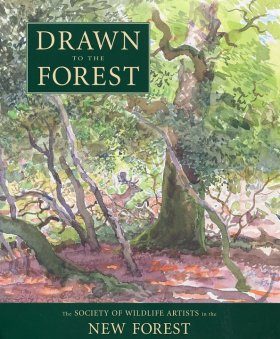 Drawn to the Forest