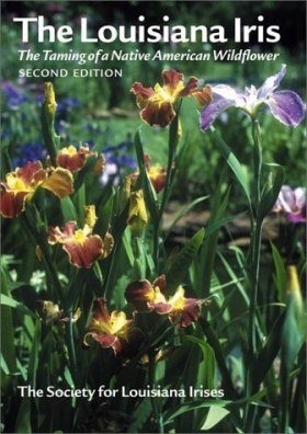 The Louisiana Iris