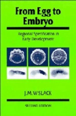 From Egg to Embryo