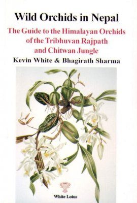 Wild Orchids in Nepal