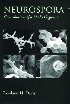 Neurospora: Contributions of a Model Organism