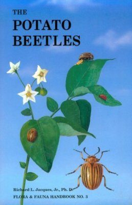 The Potato Beetles