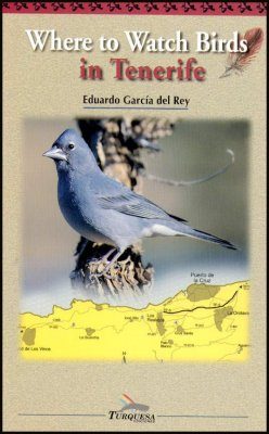 Where to Watch Birds in Tenerife