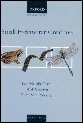 Small Freshwater Creatures