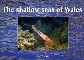 The Shallow Seas of Wales