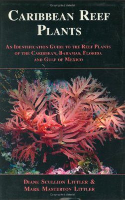 Caribbean Reef Plants