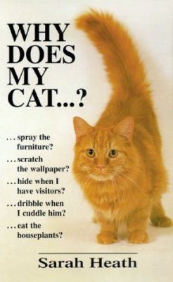 Why Does My Cat?