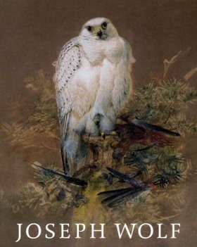 Joseph Wolf (1820-1899): Animal Painter / Tiermaler