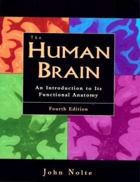 The Human Brain
