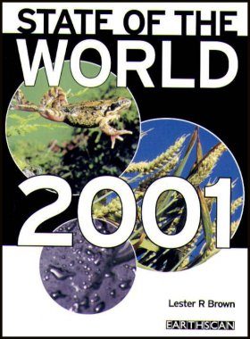 State of the World 2001