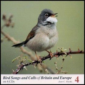 Bird Songs and Calls of Britain and Europe, Volume 4: Sylvia Warblers to Buntings