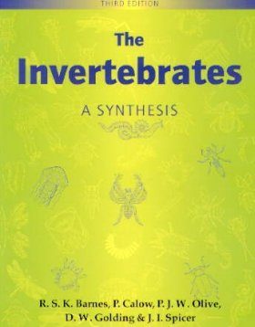The Invertebrates