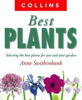 Collins Best Plants