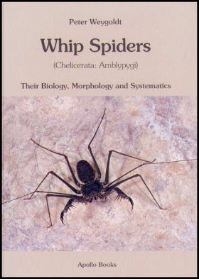 Whip Spiders (Chelicerata: Amblypygi)