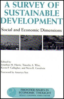 A Survey of Sustainable Development