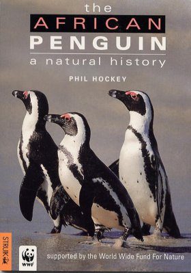 The African Penguin