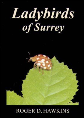 Ladybirds of Surrey