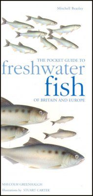 The Pocket Guide to Freshwater Fish of Britain and Europe