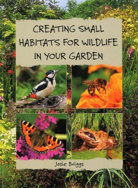 Creating Small Habitats for Wildlife in Your Garden