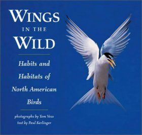 Wings in the Wild