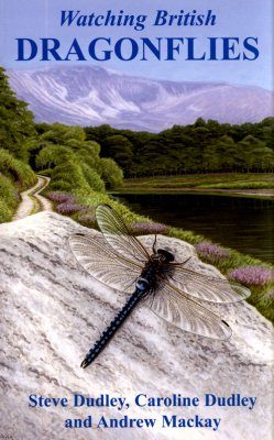 Watching British Dragonflies
