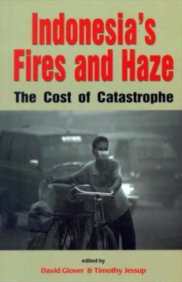 Indonesia's Fires and Haze
