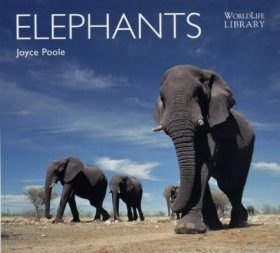Elephants