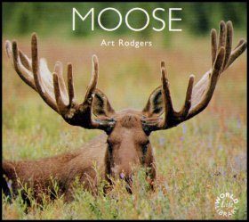 Moose