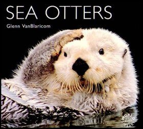 Sea Otters