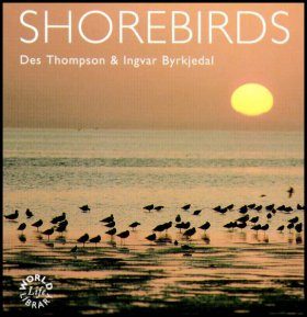 Shorebirds