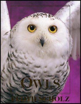 Owls