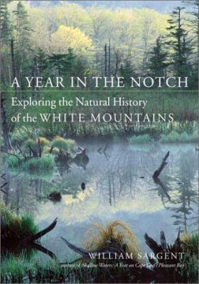 A Year in the Notch