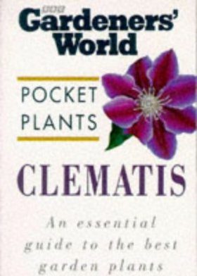 Clematis